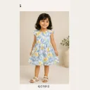 Summer Blue Frock